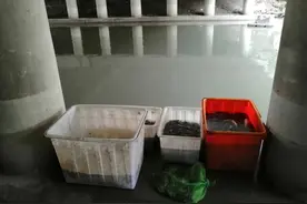 上天有好生之德，大地有载物之厚图片