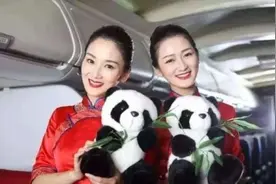 空姐上下飞机都要拉个箱子，箱子有什么用？为什么一定要拉箱子？图片