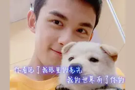 吴磊抱流浪狗上《拜托了冰箱》，告诉赵丽颖他一条打戏拍17次图片