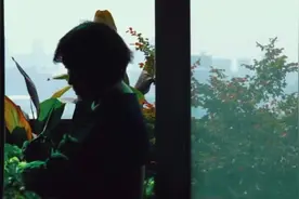 终于，没人搭理龙应台了图片