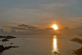 捡到小狗“日出”/旅行随笔图片