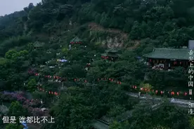 重庆“逆天”火锅街，占了一座山图片