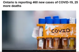 多伦多周末大失控！上万人聚集公园，不戴口罩！不保持距离图片
