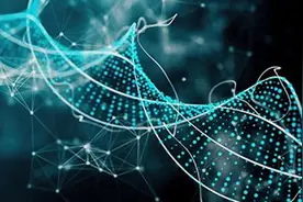 抗衰老基因疗法，是美好的前景，还是无良的骗局？图片