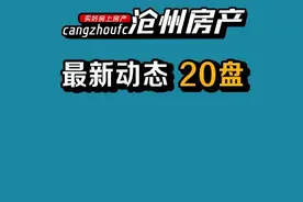 沧州市区20盘最新动态 在家无聊，千名置业顾问在拼房帝等你撩图片