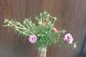 技术贴：手把手教你自制太阳花花塔造型图片