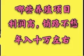 收益高，销路不愁的养殖项目有哪些？这里有答案图片