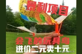 鲁班飞鸟，无需用电、不用油，进价二元卖十元，收益非常不错图片