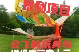 鲁班飞鸟，无需用电、不用油，进价二元卖十元，收益非常不错图片