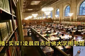 凌晨四点的哈佛，清华半夜的图书馆，这样的“毒鸡汤”你还在信吗图片