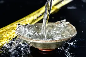 新疆伊犁十大特产有哪些图片