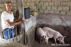 河北一村民家猪圈下面总有响动，专家：埋着一位开国皇帝图片