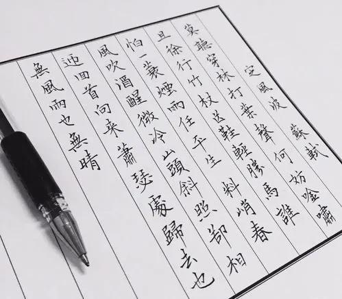 何妨吟啸且徐行的意思（《定风波》苏轼最豪放旷达的一首词）