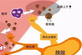 糖尿病人吃硫辛酸有什么用？除了治疗神经病变，还有这几个好处图片