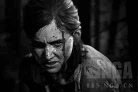 最后的生还者2：灵魂的决裂与躯壳的生还图片