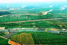 济南14处大中型引黄灌区项目在全省率先开工 26亿元资金“砸”向农田水利图片