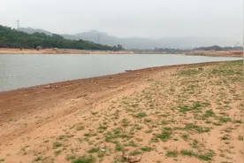 南宁一水库边出现大量黑鱼骨头，钓鱼人：感觉有上百条图片