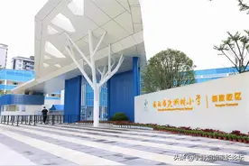 不是指导，不是挂牌！泡小“亲兄弟”桐欣校区到底怎么样？图片