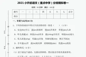 小升初分班试卷（7套附答案）重点中学尖子班，语文冲刺必备图片