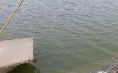 早春肥水提上日程，秘笈在这里！