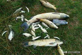 钓浮就怕刮风和走水，用上这些招数，可以让钓组“稳当”不跑偏图片