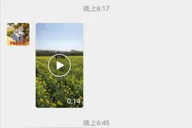 霸州网友们注意了：林城几百亩油菜花竞相开放！约吗？图片