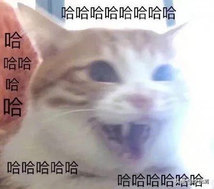 沫沫妈鱼鳞包包教程视频