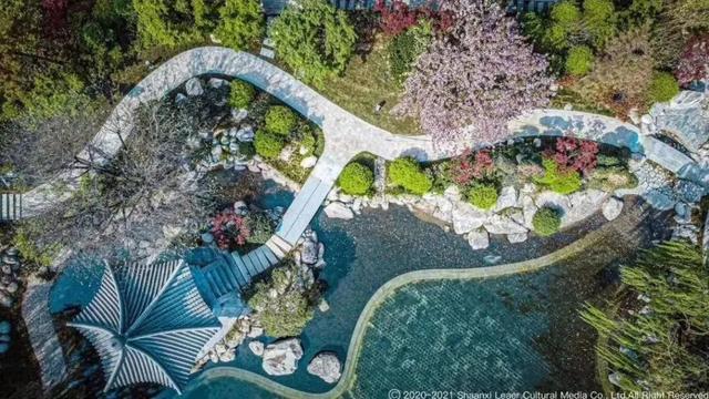 五谷杂粮绘花胶 2026年五谷杂粮花胶图片