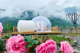 观繁星枕花海入梦！绵竹这处露营基地太惊艳图片