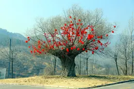 中医药治疗“结节性红斑”的临床经验图片