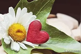 为何有人健康长寿，有人却百病缠身？研究13万人发现：只因这4点图片