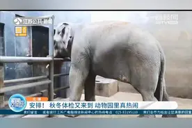 秋冬体检又来到 无锡动物园里真热闹图片