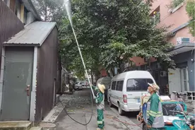 毛毛虫泛滥成灾多株大树被啃光 园林部门紧急喷药灭杀图片