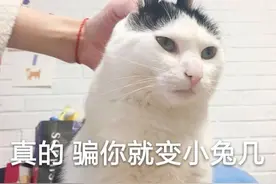 表情包 | 王者打不过 飞车跑不赢 吃鸡吃不到 网恋还不行图片