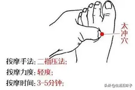 五脏原气所聚集的五个穴位图片