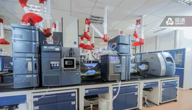 鎶€鏈崌绾т辅楂樺垎杈ㄨ川璋卞姪鍔涘ぇ鍒嗗瓙铔嬬櫧鑽墿缁撴瀯纭瘉鐮旂┒