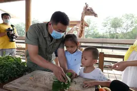 石家庄市动物园的儿童动物园端午节开园，除了孔雀、矮马等，还有最小的犬科动物耳廓狐图片