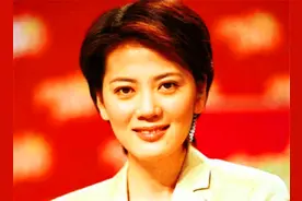优秀主持人沈冰：从天之骄女到锒铛入狱，她的经历引人深思图片
