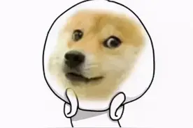探秘警察单身之谜图片