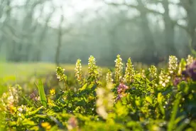 宣讲家文稿：新形势下的国际舆论挑战与应对图片