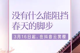 “云赏樱”来了！抖音联合武汉大学等五大高校直播赏樱图片