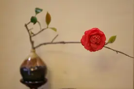 打油诗｜插花去闲愁图片