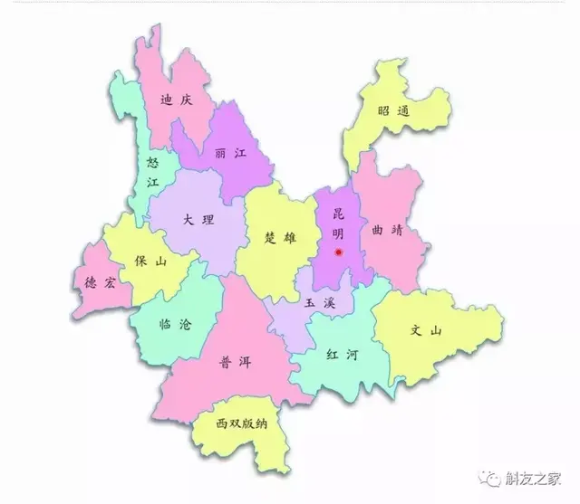 石斛品种76图片大全 石斛品种76图片大全野生