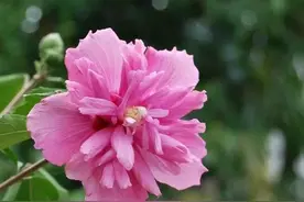 搞定一个女人，要掌握“温水煮青蛙”原理图片