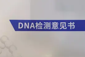 DNA亲子鉴定师：三万个家庭“不确定”的性与爱图片