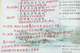 六年级语文下册，第3课《古诗三首》课堂笔记及全文解析图片