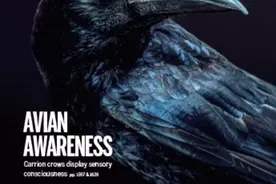 《科学》（20200925出版）一周论文导读图片