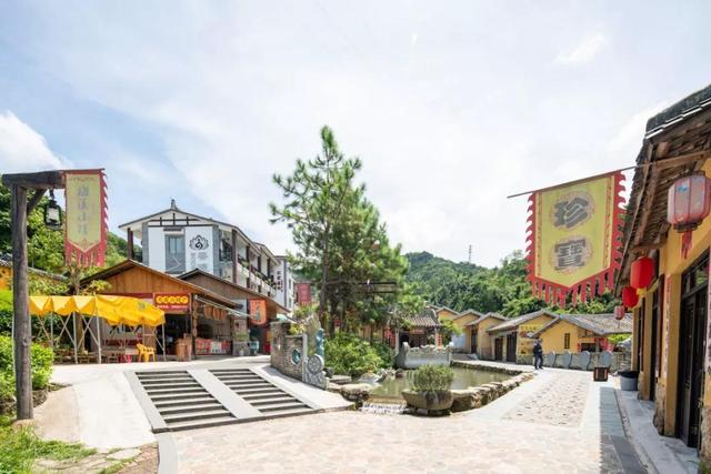 一同探秘花海,游新兴天露山梅溪小镇,赏花中西施