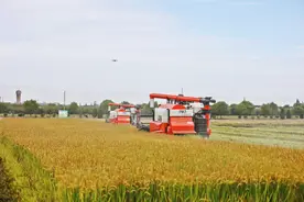 金秋收割机的轰鸣声，是对农民最好的赞美图片