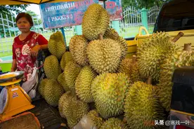 受中国人热捧的榴莲被冷落，泰国大量滞销，价格却没降是什么情况图片